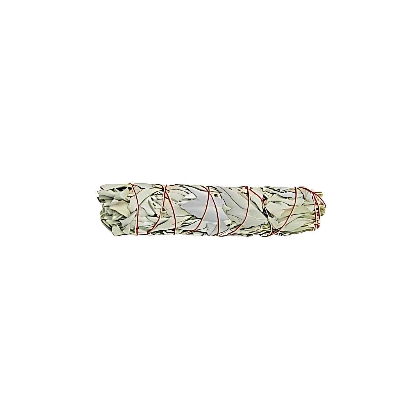 White Sage Smudge Stick - Large 9"