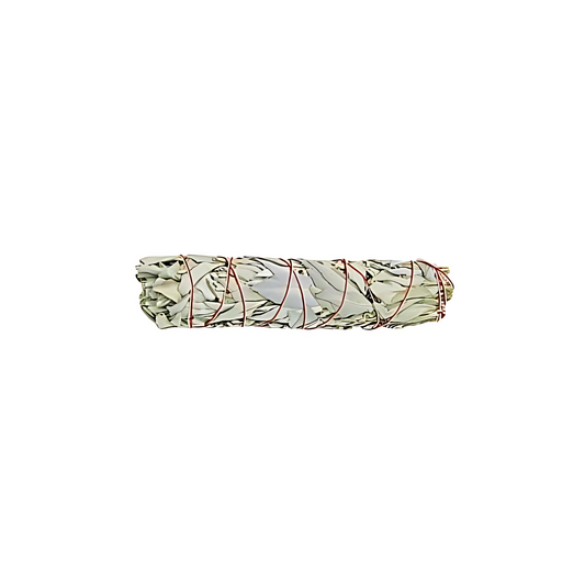 White Sage Smudge Stick - Large 9"